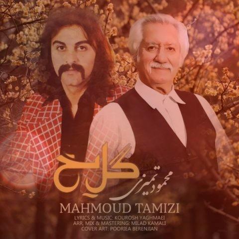 آهنگ گل یخ با گیتار ورژن جدید از محمود تمیزی آهنگ گل یخ با گیتار ورژن جدید از محمود تمیزی