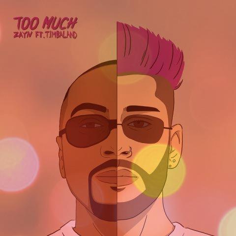 دانلود آهنگ Too Much از Zayn Malik + متن کامل و ترجمه