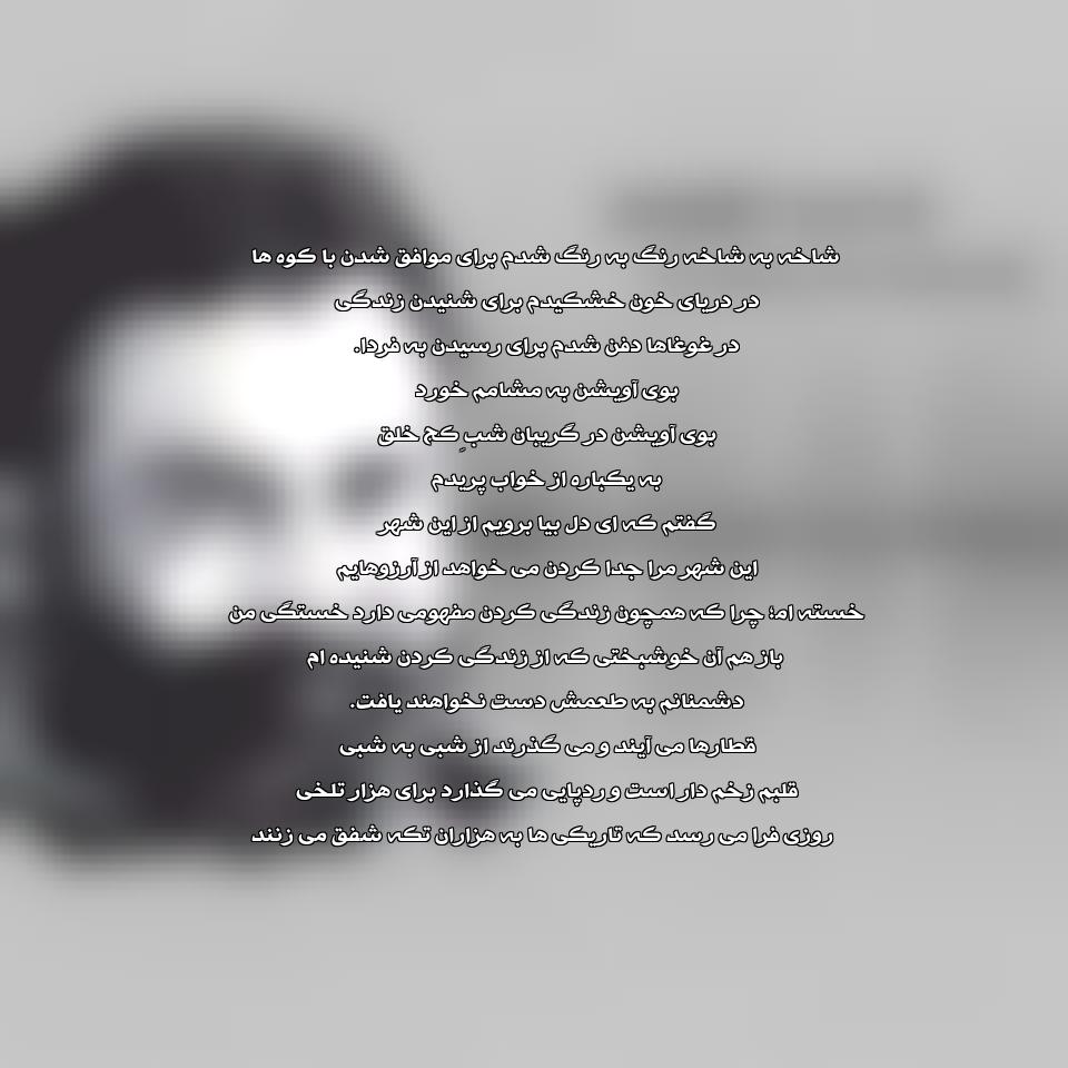 متن و ترجمه آهنگ Doruklara Sevdalandım از Ahmet Kaya