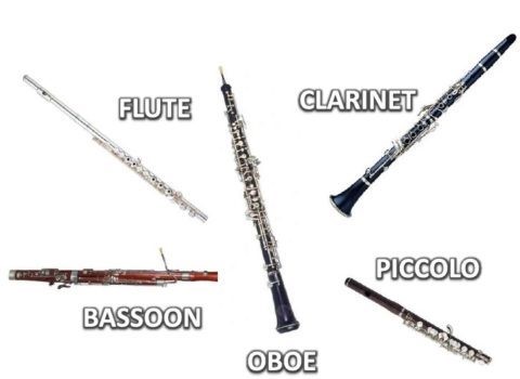 ساز های بادی (Woodwind instruments)