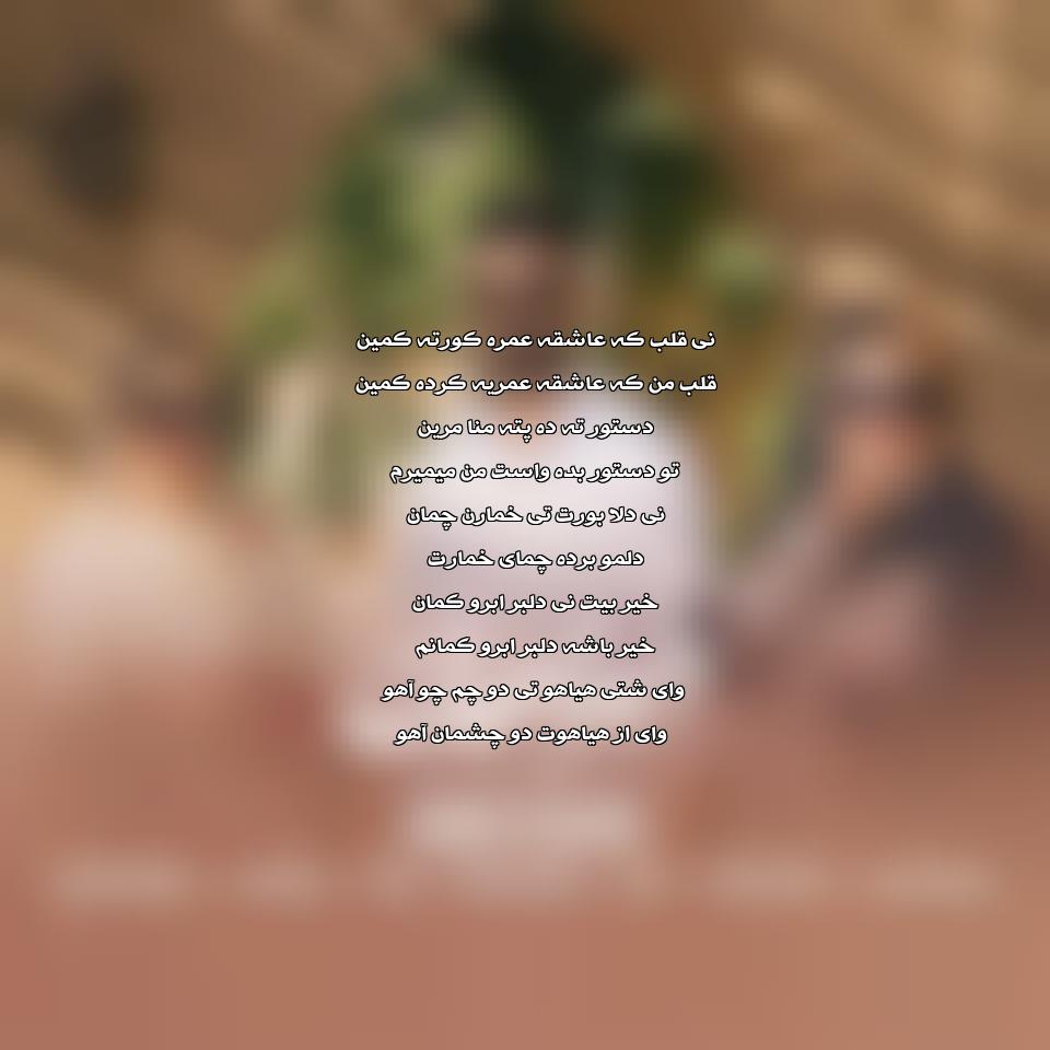 دانلود آهنگ دلبر زاهدان از امیر خانی