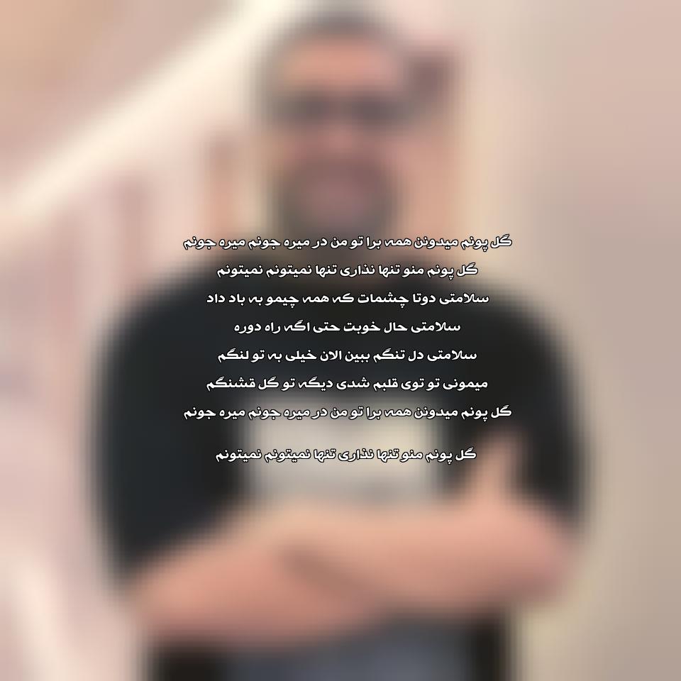 دانلود آهنگ گل پونم از مهدی جهانی