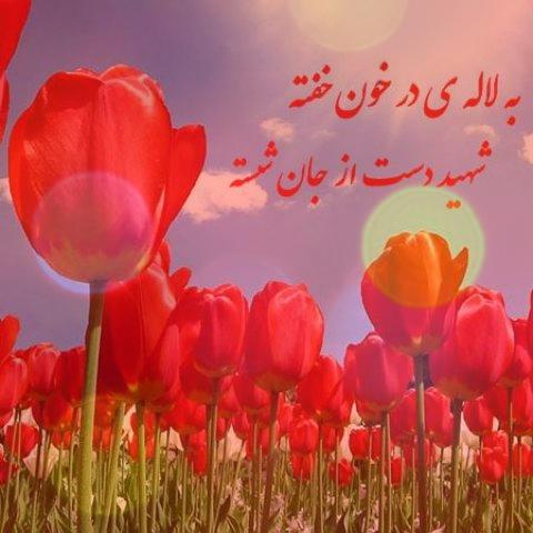 آهنگ جاویدان ایران عزیز ما (با کلام و بی کلام) آهنگ جاویدان ایران عزیز ما (با کلام و بی کلام)