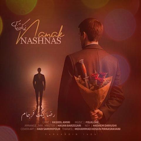 آهنگ نمک نشناس از رضا نیک فرجام آهنگ نمک نشناس از رضا نیک فرجام